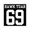 HAWK TUAH 69 (Team Sports) Sticker