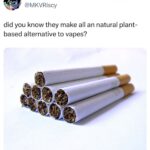 All Natural Plant-Based Alternative to Vapes