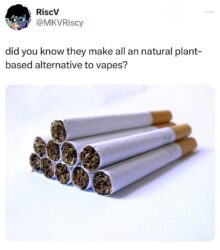 All Natural Plant-Based Alternative to Vapes