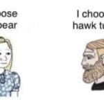 Bear vs Hawk Tuah