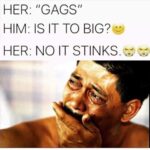 It Isn't Too Big It's Stinks