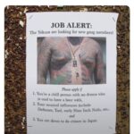 JOB ALERT The Yakuza are looking for new gang members