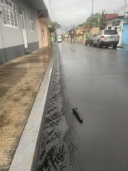 Lost Dildo