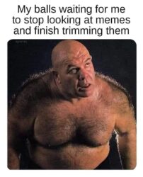 My balls waiting for me to stop looking at memes and finish trimming them - George 'The Animal' Steele meme