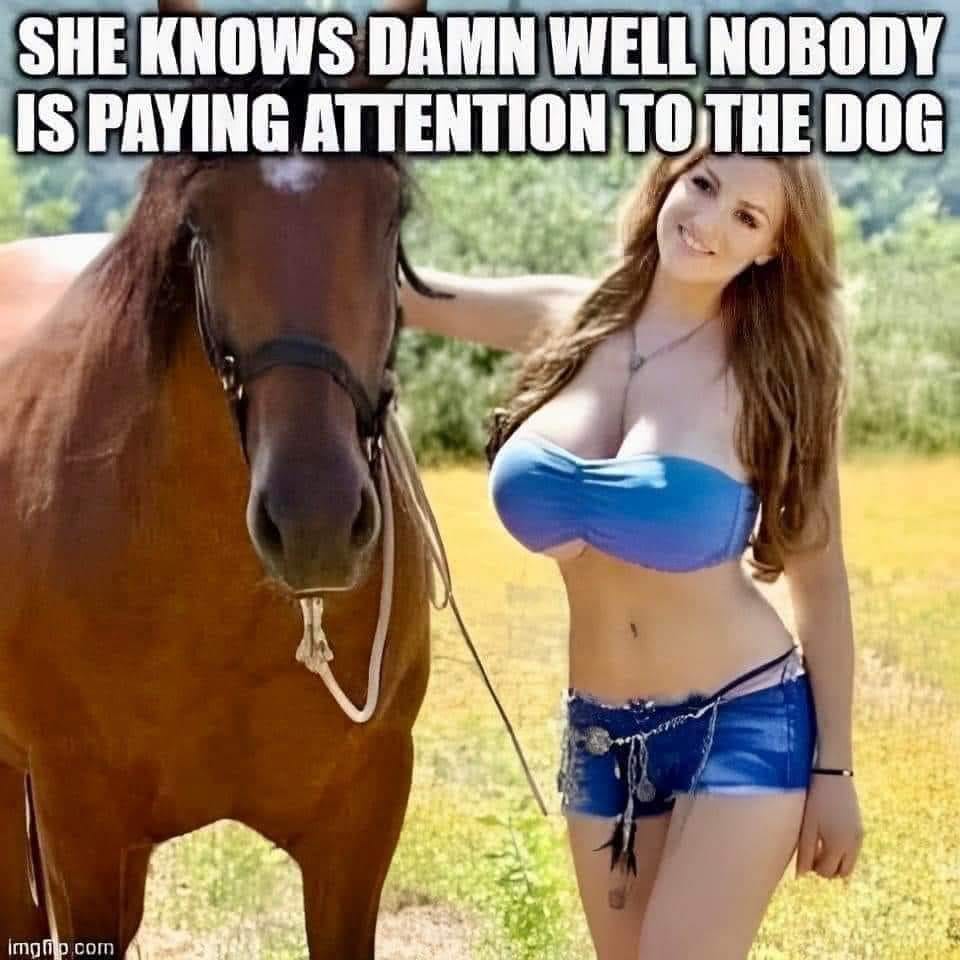 She knows damn well nobody is paying attention to the dog - Jordan Carver huge tits meme