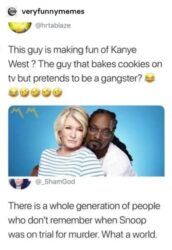 Snoop Dogg bakes cookies on tv with Martha Stewart but pretends to be gangster
