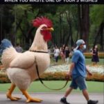 When you waste one of your 3 wishes - Big Cock