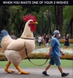 When you waste one of your 3 wishes - Big Cock