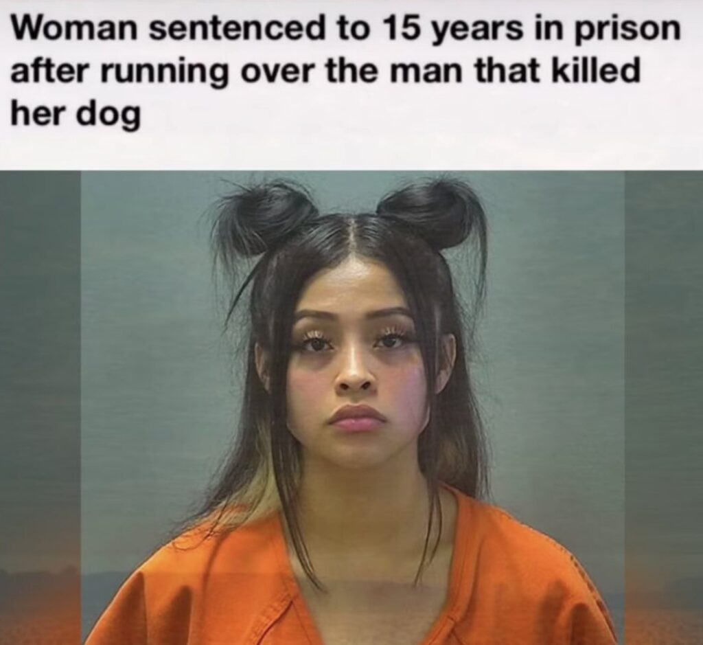 Woman sentenced to 15 years in prison after running over the man that killed her dog