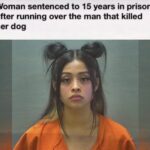 Woman sentenced to 15 years in prison after running over the man that killed her dog