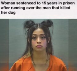 Woman sentenced to 15 years in prison after running over the man that killed her dog