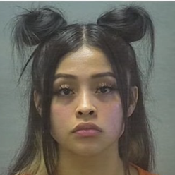 Woman sentenced to 15 years in prison after running over the man that killed her dog - Justified