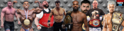 StrengthFighter.com 2024 banner
