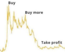 WallStreetBet Investment Secret