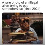 A rare photo of an illegal alien trying to eat someone's cat (circa 2024)