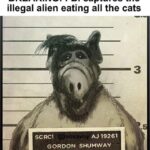 BREAKING NEWS - FBI captures the illegal alien eating all the cats
