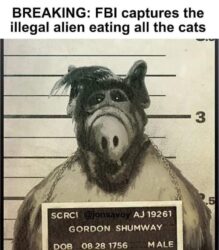 BREAKING NEWS - FBI captures the illegal alien eating all the cats