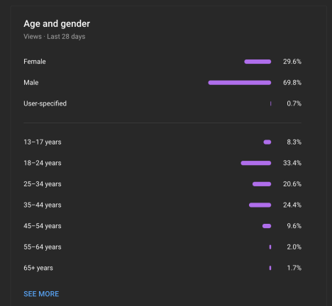 How To Succeed In MrBeast Production full memo - Audience age and gender