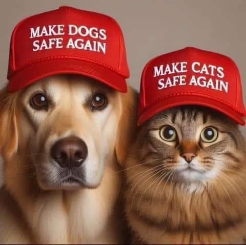 Make Dogs Safe Again hat + Make Cats Safe Again hat