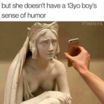 When you show your wife a meme but she doesn't have a 13 years old boy's sense of humor