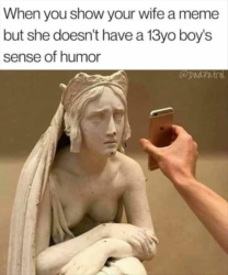 When you show your wife a meme but she doesn't have a 13 years old boy's sense of humor