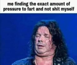 Me finding the exact amount of pressure to fart and not shit myself