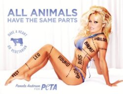 Pamela Anderson PETA pub