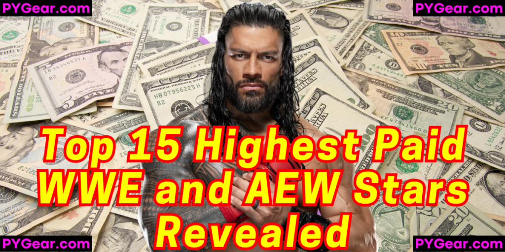 Top earning professional wrestlers 2024