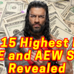 Top earning professional wrestlers 2024