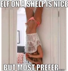 Elf On A Shelf Is Nice But Most Prefer meme