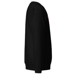 PYGear.com Embroidered Premium Sweater (right side view)