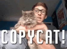 copycat-cat GIF