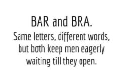 BAR and BRA