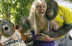 Horny Ape