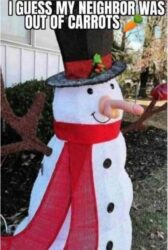 I guess my neighbor was out of carrots - Snowman dildo nose
