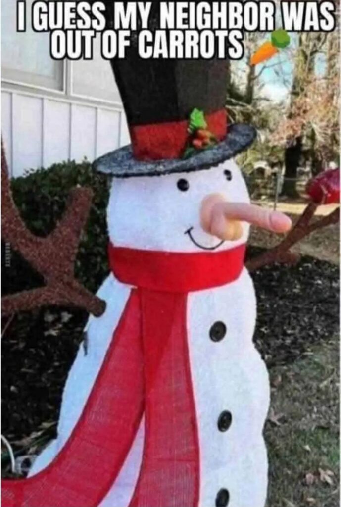 I guess my neighbor was out of carrots - Snowman dildo nose