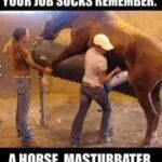 If You Think Your Job Sucks Remember a Horse Masturbater is a Real Job