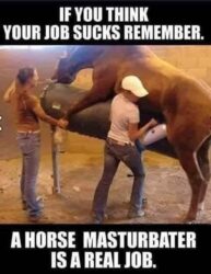 If You Think Your Job Sucks Remember a Horse Masturbater is a Real Job