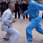 Kung Fu Ball Kicking gif