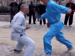 Kung Fu Ball Kicking gif