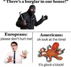 There's a burglar in our house - Europeans vs Americans