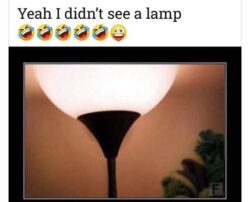 Yeah I didn't see a lamp
