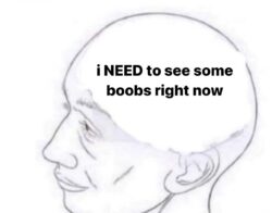 i NEED to see some Boobs right now