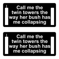 Call Me The Twin Towers The Way Her Bush Has Me Collapsing stickers