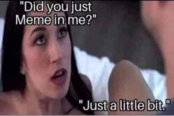 Did you just meme in me Just a little