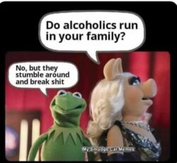 Do alcoholics run in your family - No but they stumble around and break shit
