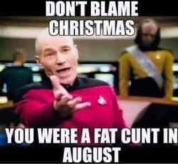 Don't Blame Christmas You Were A Fat Cunt in August