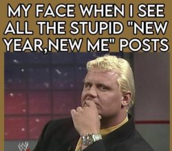 My face when I see all the stupid 'New Year new me' posts - Mr Perfect meme pro wrestling