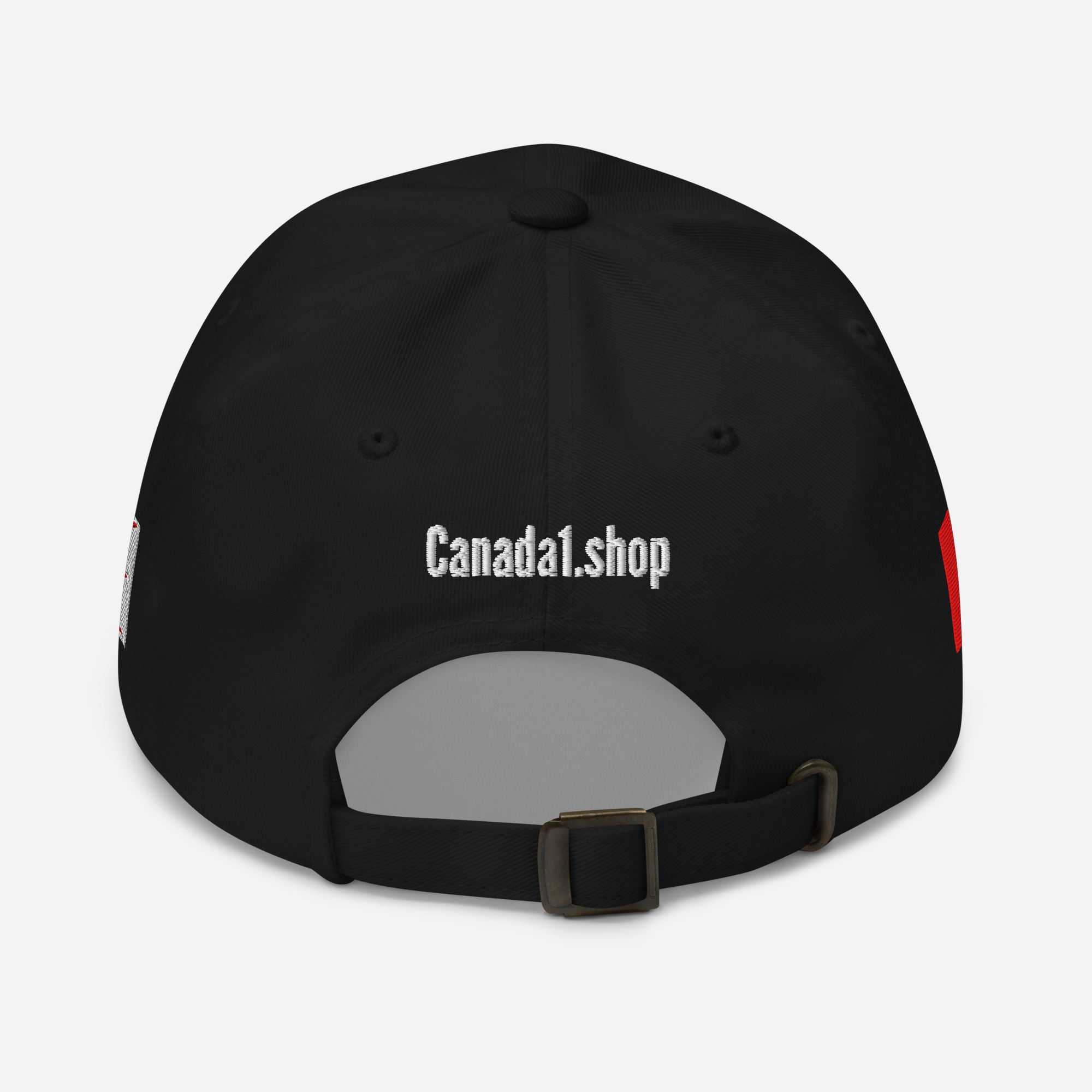PRO-CANADA ANTI-TRUMP Hat | NEWFOUNDLAND & Canadian Flags - Image 4