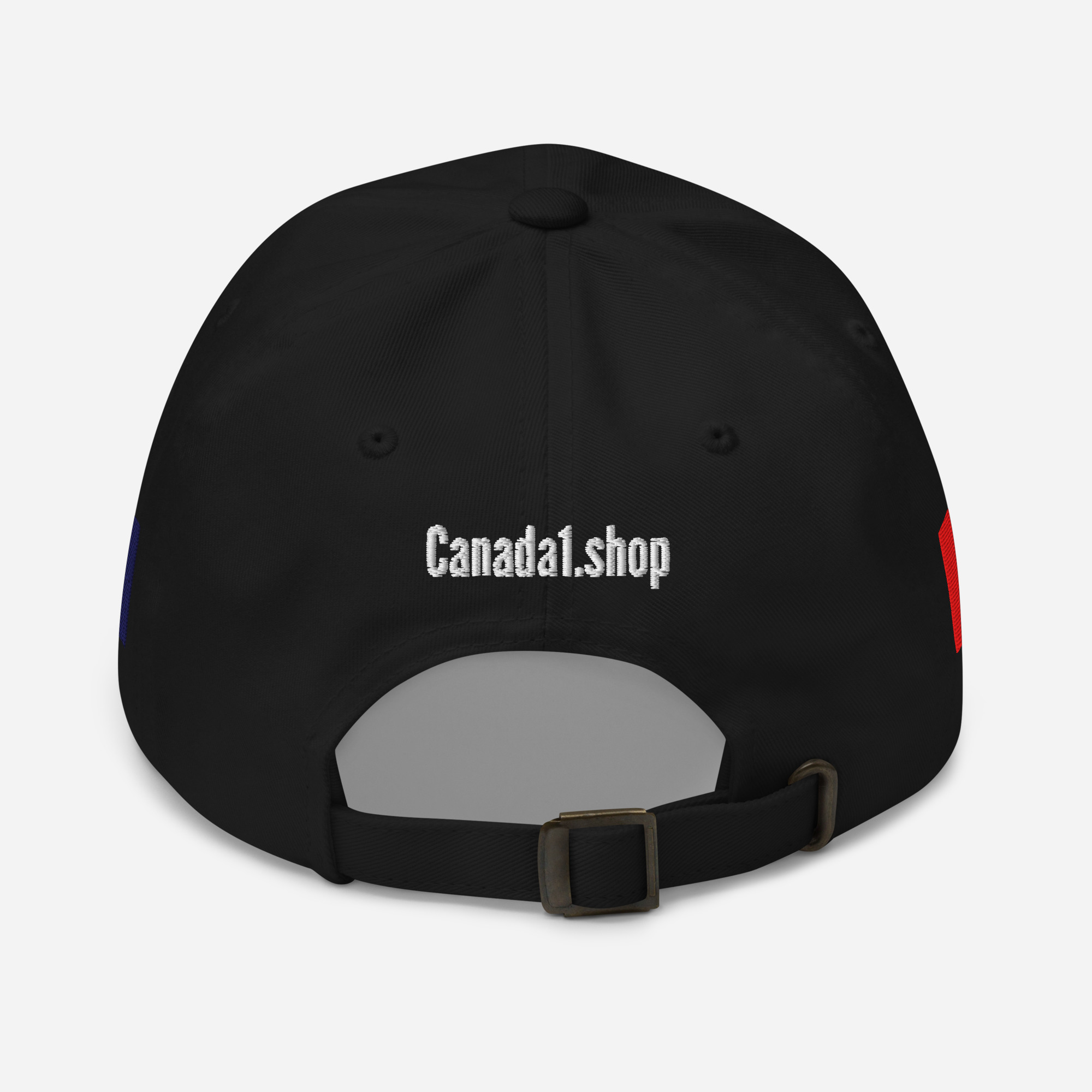 PRO-CANADA ANTI-TRUMP Hat | NORTHWEST TERRITORIES & Canadian Flags - Image 4